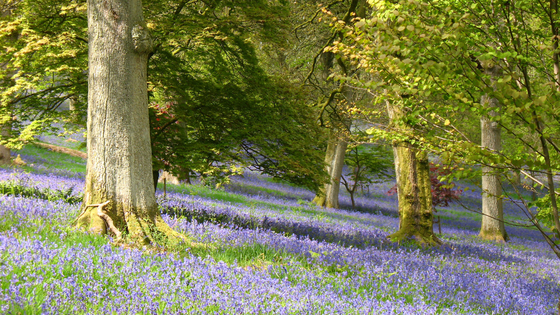 Spring Pest Prevention Checklist for Homeowners